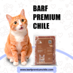 Dieta Barf Pollo para gatos (200gr)