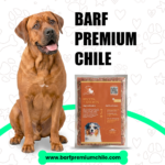 Dieta Barf Salmón para perros (200gr)