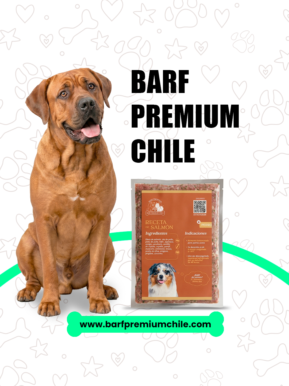 SALMÓN---PERRO-INDIVIDUAL Dieta Barf Salmón para perros (200gr) - Imagen 1