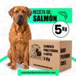 Dieta Barf Salmón para perros (5kg)