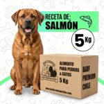 Dieta Barf Salmón para perros (5kg)